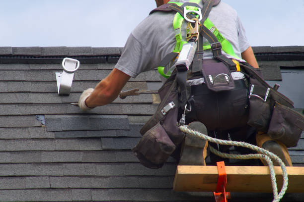 Affordable Siding Repair and Maintenance Services in Garden City, MI